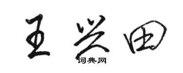 駱恆光王興田行書個性簽名怎么寫