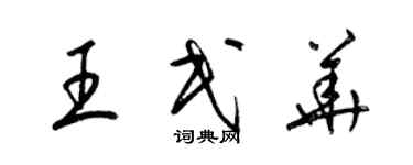 梁錦英王民華草書個性簽名怎么寫