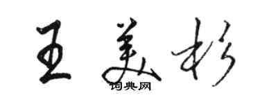 駱恆光王美杉行書個性簽名怎么寫