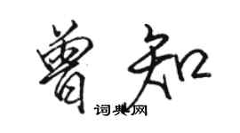 駱恆光曾知行書個性簽名怎么寫