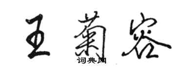 駱恆光王菊容行書個性簽名怎么寫