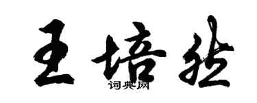 胡問遂王培然行書個性簽名怎么寫