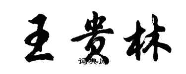 胡問遂王貴林行書個性簽名怎么寫