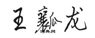 駱恆光王瓤龍行書個性簽名怎么寫