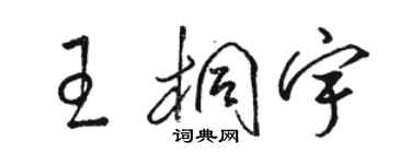 駱恆光王桐宇草書個性簽名怎么寫