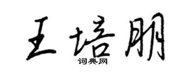 王正良王培朋行書個性簽名怎么寫