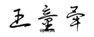 曾慶福王童畢草書個性簽名怎么寫