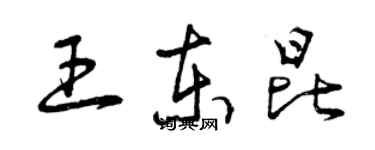 曾慶福王東昆草書個性簽名怎么寫