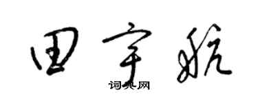 梁錦英田宇航草書個性簽名怎么寫