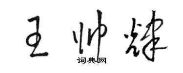 駱恆光王帥輝草書個性簽名怎么寫