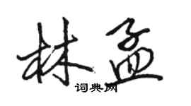 駱恆光林孟行書個性簽名怎么寫