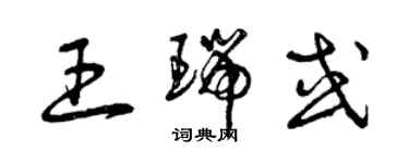 曾慶福王瑞或草書個性簽名怎么寫