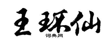 胡問遂王環仙行書個性簽名怎么寫