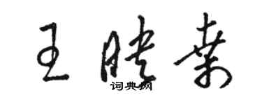 駱恆光王映桑草書個性簽名怎么寫