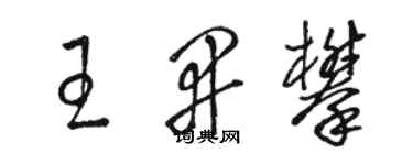 駱恆光王開攀草書個性簽名怎么寫