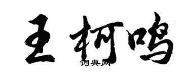 胡問遂王柯鳴行書個性簽名怎么寫