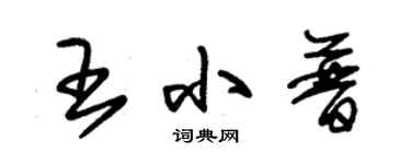 朱錫榮王小普草書個性簽名怎么寫