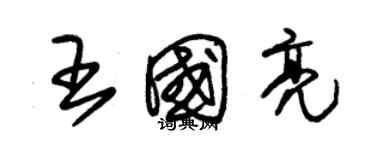 朱錫榮王國亮草書個性簽名怎么寫