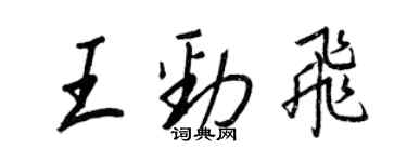 王正良王勁飛行書個性簽名怎么寫