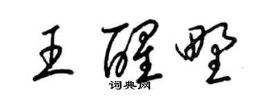 梁錦英王醒野草書個性簽名怎么寫