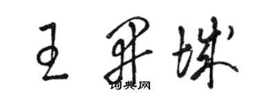 駱恆光王開城草書個性簽名怎么寫