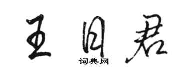 駱恆光王日君行書個性簽名怎么寫