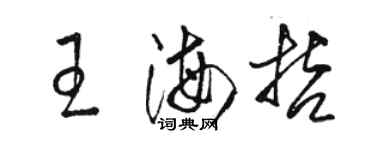 駱恆光王海哲草書個性簽名怎么寫