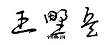 曾慶福王野兵草書個性簽名怎么寫