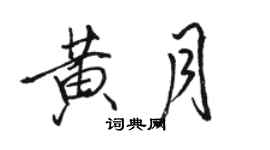 駱恆光黃月行書個性簽名怎么寫
