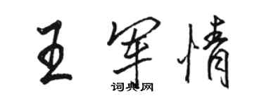 駱恆光王軍情行書個性簽名怎么寫