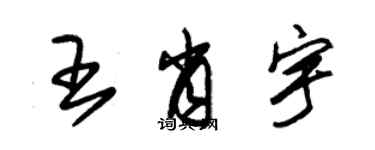 朱錫榮王肖宇草書個性簽名怎么寫