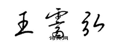 梁錦英王霽弘草書個性簽名怎么寫