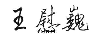 駱恆光王慰巍行書個性簽名怎么寫