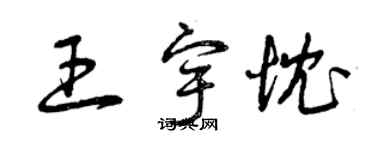 曾慶福王宇忱草書個性簽名怎么寫