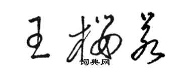 駱恆光王櫻若草書個性簽名怎么寫