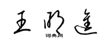 梁錦英王明進草書個性簽名怎么寫