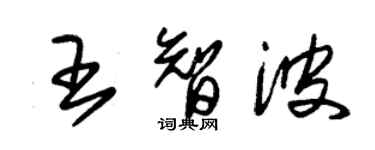 朱錫榮王智波草書個性簽名怎么寫