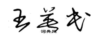 朱錫榮王英民草書個性簽名怎么寫