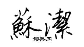 王正良蘇潔行書個性簽名怎么寫