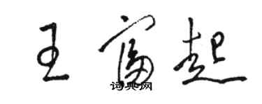 駱恆光王富起草書個性簽名怎么寫