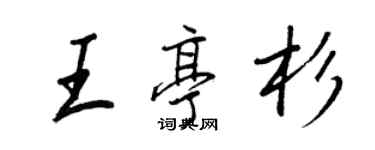 王正良王亭杉行書個性簽名怎么寫