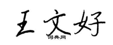 王正良王文好行書個性簽名怎么寫