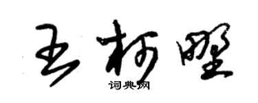 朱錫榮王柯野草書個性簽名怎么寫