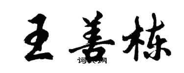 胡問遂王善棟行書個性簽名怎么寫