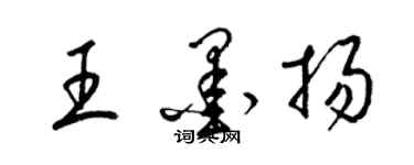 梁錦英王墨揚草書個性簽名怎么寫