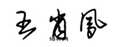 朱錫榮王肖鳳草書個性簽名怎么寫