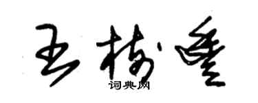 朱錫榮王樹豐草書個性簽名怎么寫