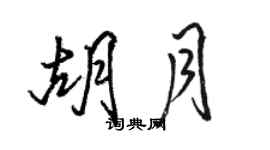 駱恆光胡月行書個性簽名怎么寫