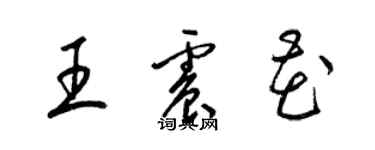 梁錦英王震花草書個性簽名怎么寫