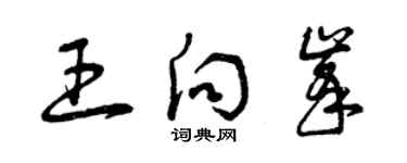 曾慶福王向峰草書個性簽名怎么寫